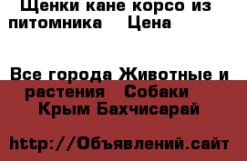 Щенки кане корсо из  питомника! › Цена ­ 65 000 - Все города Животные и растения » Собаки   . Крым,Бахчисарай